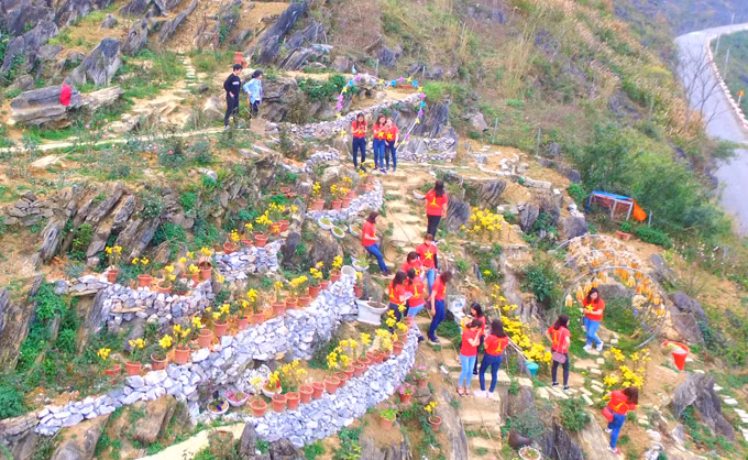 Sinh ra và lớn lên ở thành phố thuộc tỉnh Hà Giang, anh Ma Hoàng Sơn trở về quê hương để lập nghiệp sau khi học đại học ở Hà Nội. Anh sống ở huyện Đồng Văn, quê vợ, để làm du lịch. Đầu năm 2017, anh quyết định thuê ngọn đồi cằn cỗi ở trạm dừng chân Mã Pí Lèng để làm vườn hoa.