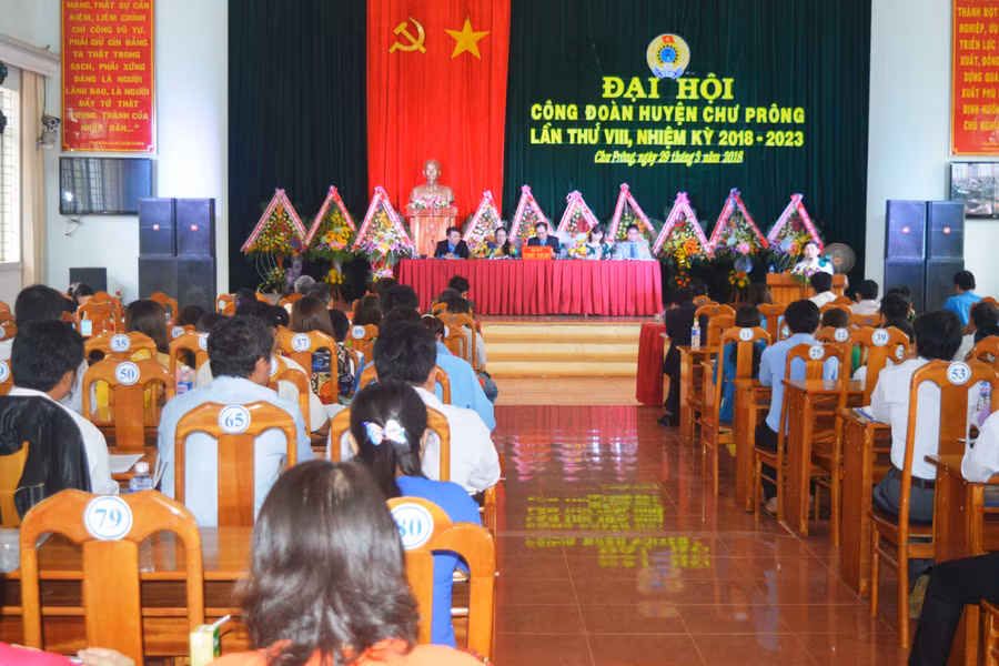 Toàn cảnh đại hội. Ảnh: Đ.Y