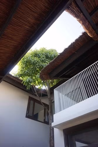 Phần mái nhà lợp tranh