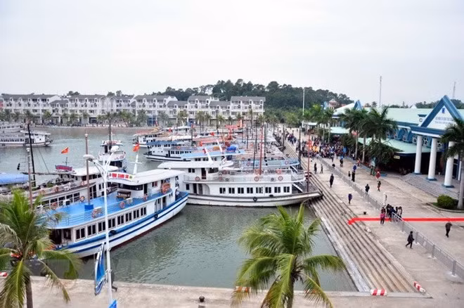 Quang cảnh Cảng tàu khách quốc tế Tuần Châu. 