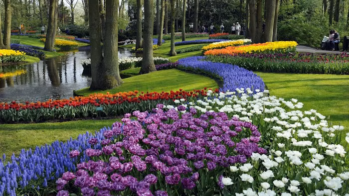 Ảnh: Amsterdamcitytours
