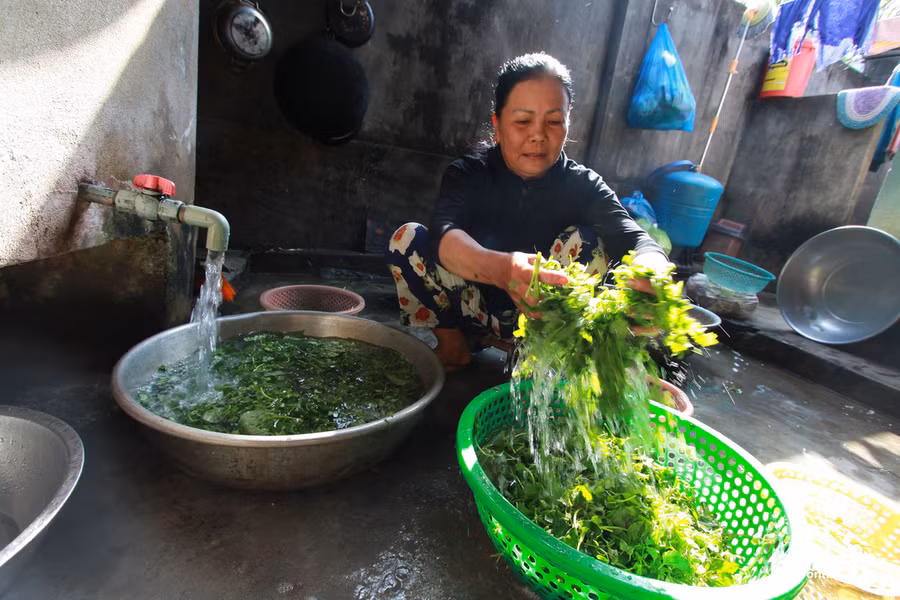 Bà Trần Thị Yến cho biết một tô mỳ ngon thì rau sống ăn kèm phải phong phú. Có không dưới 7 loại rau dùng ăn kèm mỳ Phú Chiêm.