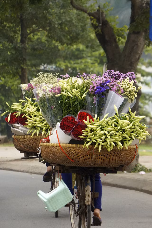 Ở Hà Nội, hoa loa kèn được bày bán nhiều dọc đường Thanh Niên, Thụy Khuê, Giảng Võ, Nguyễn Chí thanh... Ảnh: Mạnh Thắng
