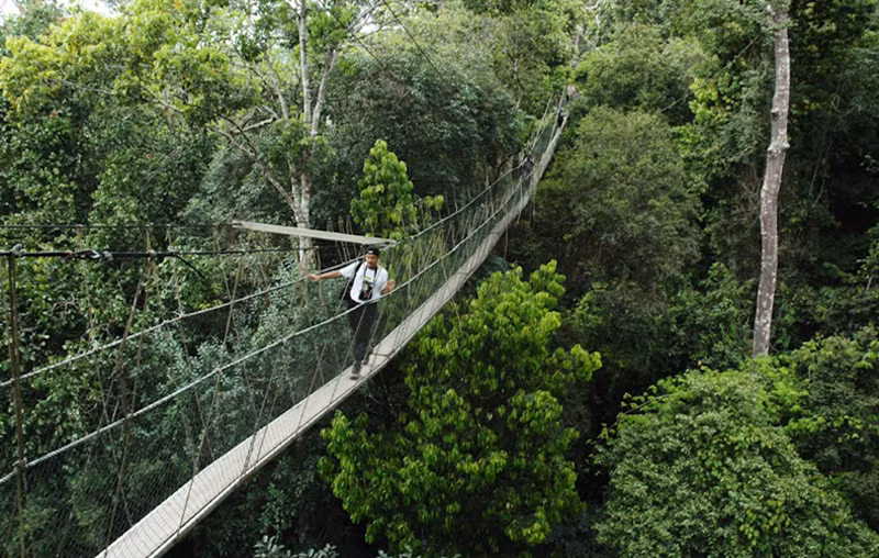 Công viên quốc gia Taman Negara nằm trên ngọn núi Titiwangsa của Malaysia. Điều khiến nơi đây trở thành một trong những điểm đến hấp dẫn nhất khu vực Đông Nam Á là mang đến cho khách du lịch cảm giác hòa mình với thiên nhiên qua các hoạt động như đi bộ xuyên rừng, leo núi, câu cá hay cắm trại. Công viên quốc gia Taman Negara nằm trên ngọn núi Titiwangsa của Malaysia. Điều khiến nơi đây trở thành một trong những điểm đến hấp dẫn nhất khu vực Đông Nam Á là mang đến cho khách du lịch cảm giác hòa mình với thiên nhiên qua các hoạt động như đi bộ xuyên rừng, leo núi, câu cá hay cắm trại.