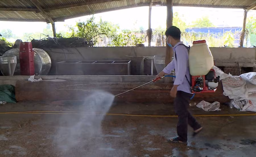 Phun hóa chất tiêu độc khử trùng ổ dịch heo châu phi. Ảnh: Đức Phương