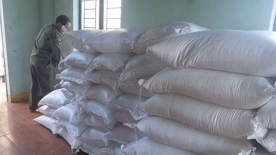 Sở GD-ĐT chủ trì, tham mưu, hướng dẫn việc phân bổ, cấp phát gạo cho các đơn vị có học sinh được thụ hưởng chính sách hỗ trợ gạo theo quy định. Ảnh minh họa: C.H