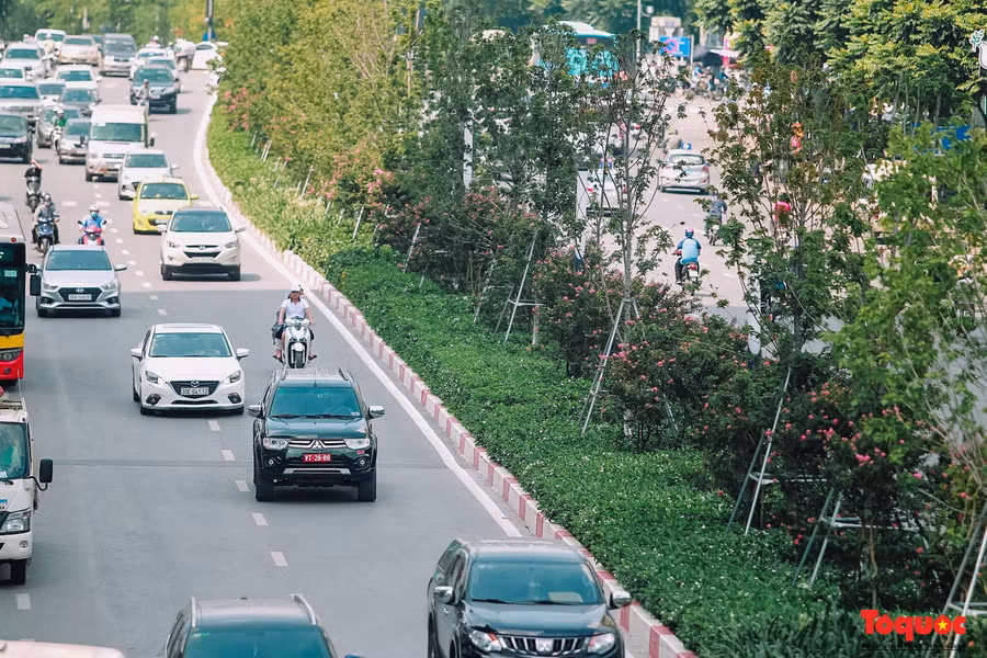 3 Cả hai đường Trần Duy Hưng và Nguyễn Chí Thanh được trồng ba tầng cây xanh với nhiều loại cây khác nhau ở dải phân cách giữa.