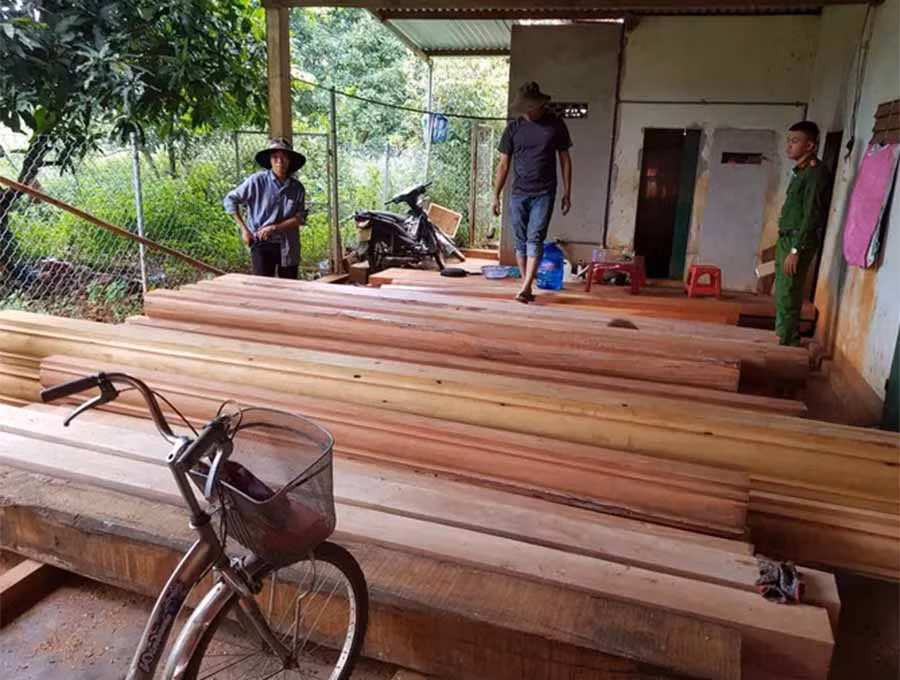 Mở rộng điều tra, cơ quan công an bắt giữ 5 điểm tập kết gỗ lậu trong nhà dân và xưởng cưa