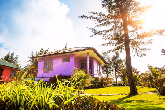 Các căn bungalow ẩn mình dưới những rặng dừa, phía trước là biển và phía sau là rừng phượng