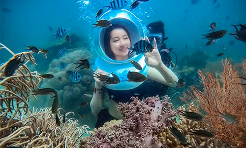 Khung cảnh hiện ra trước mắt bạn với vẻ đẹp muôn màu của các loài san hô cùng đàn cá tự nhiên bơi lội.
