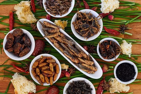  Côn trùng là một 
