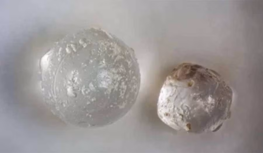  Những 