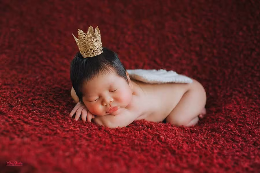  Thời điểm say ngủ là khoảnh khắc đáng nhớ của trẻ sơ sinh trong từng bức ảnh. 