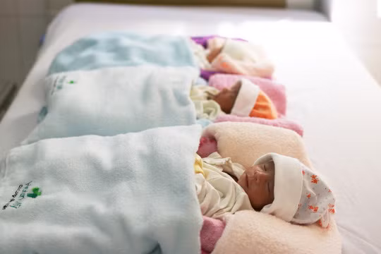  Cả 3 bé gái trong rất bụ bẫm, đáng yêu