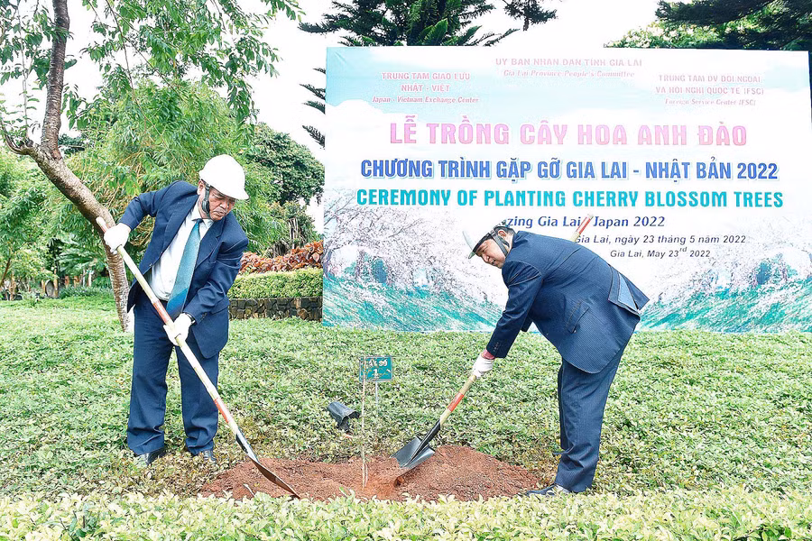 Lãnh đạo tỉnh và đại diện phía Nhật Bản cùng thực hiện nghi thức trồng cây hoa đào. Ảnh: Đức Thụy