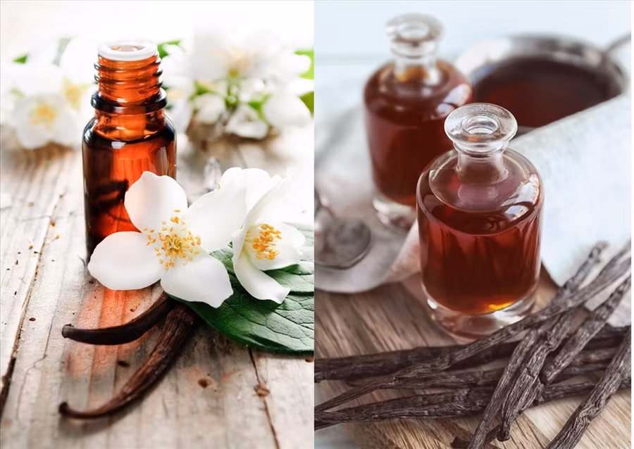 Dầu vani có nhiều lợi ích cho sức khỏe nhờ đặc tính chống oxy hóa và giảm viêm. Đồ họa: Doãn Hằng Dầu vani có nhiều lợi ích cho sức khỏe nhờ đặc tính chống oxy hóa và giảm viêm. Đồ họa: Doãn Hằng