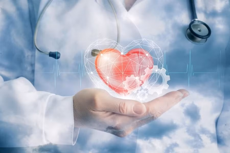 Chất xơ có rất nhiều lợi ích cho sức khỏe, bao gồm giúp giảm nguy cơ mắc bệnh tim. Ảnh: Shutterstock