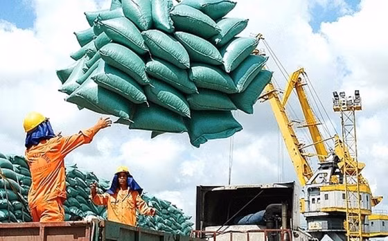 Dự báo xuất khẩu nhiều mặt hàng tiếp tục “bùng nổ” trong năm 2022. Ảnh: Tr.X