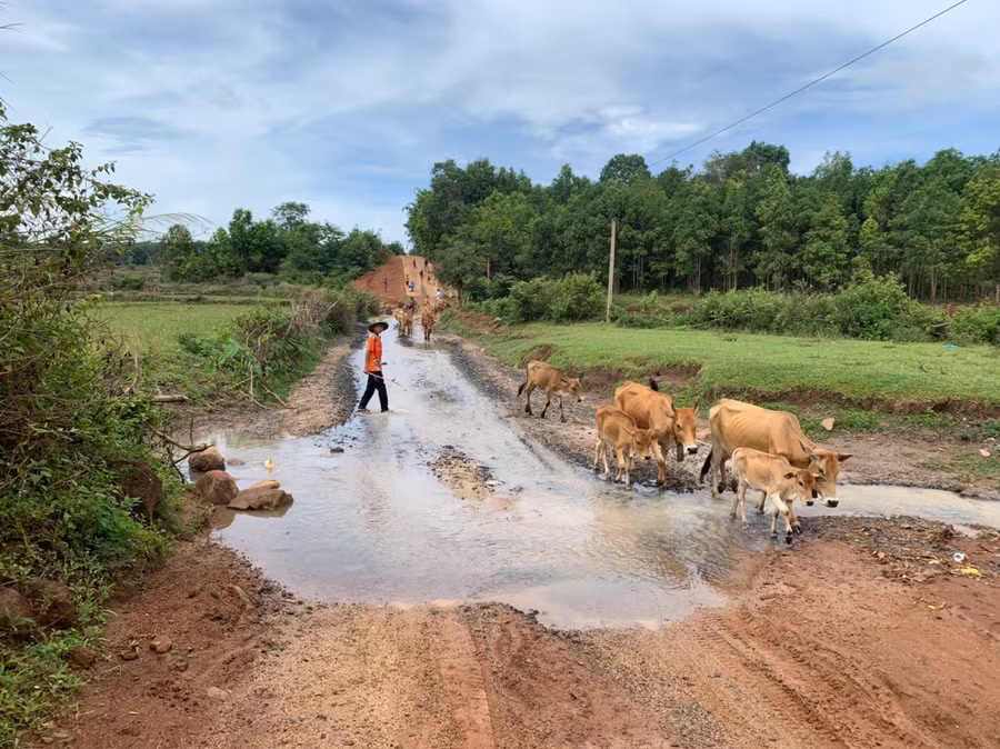 Người dân làng Rồi (xã Ia Phí) mong muốn được làm cầu tràn đi qua suối Ia Nuôi để đảm bảo an toàn cũng như thuận lợi cho việc đi lại và vận chuyển nông sản. Ảnh: Nhật Hào