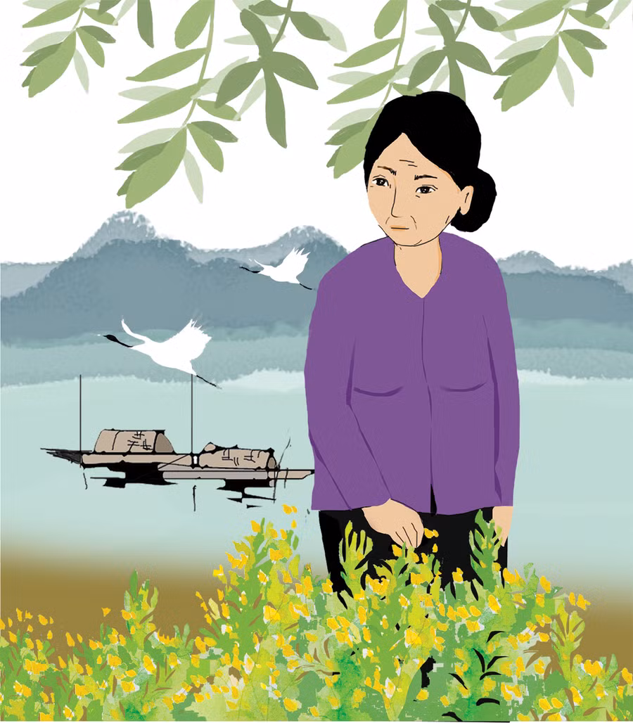 Minh họa: THỦY NGỌC