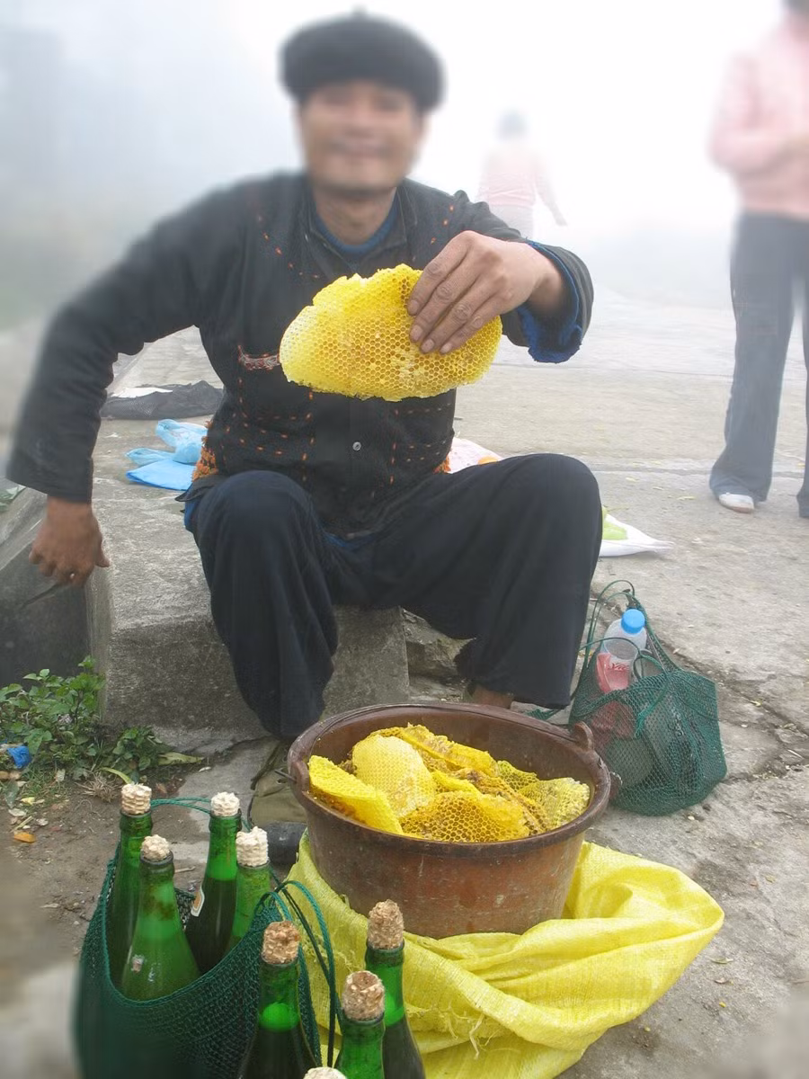 Tổ ong vàng óng này là thật, gương mặt này là thật, nhưng ai dám chắc những chai mật ong đóng sẵn kia không phải hàng rởm?. Tổ ong vàng óng này là thật, gương mặt này là thật, nhưng ai dám chắc những chai mật ong đóng sẵn kia không phải hàng rởm?.