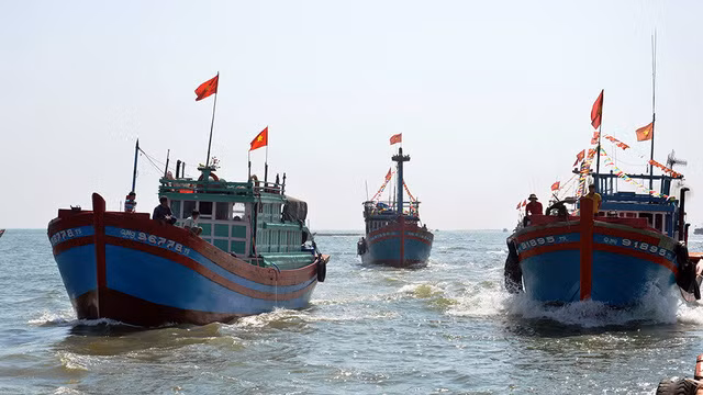 Những đội tàu xuất phát từ cảng cá Sa Kỳ (Quảng Ngãi) thẳng tiến ra khơi.
