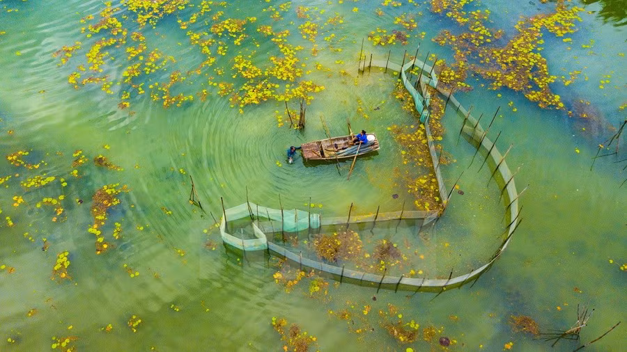 Vân Long là khu bảo tồn thiên nhiên đất ngập nước lớn nhất vùng Đồng bằng châu thổ Bắc Bộ.