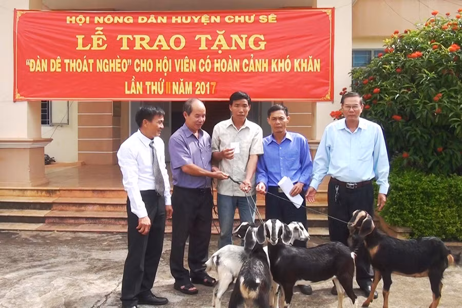 Lễ trao đàn dê thoát nghèo cho hội viên. Ảnh: Mỹ Đức