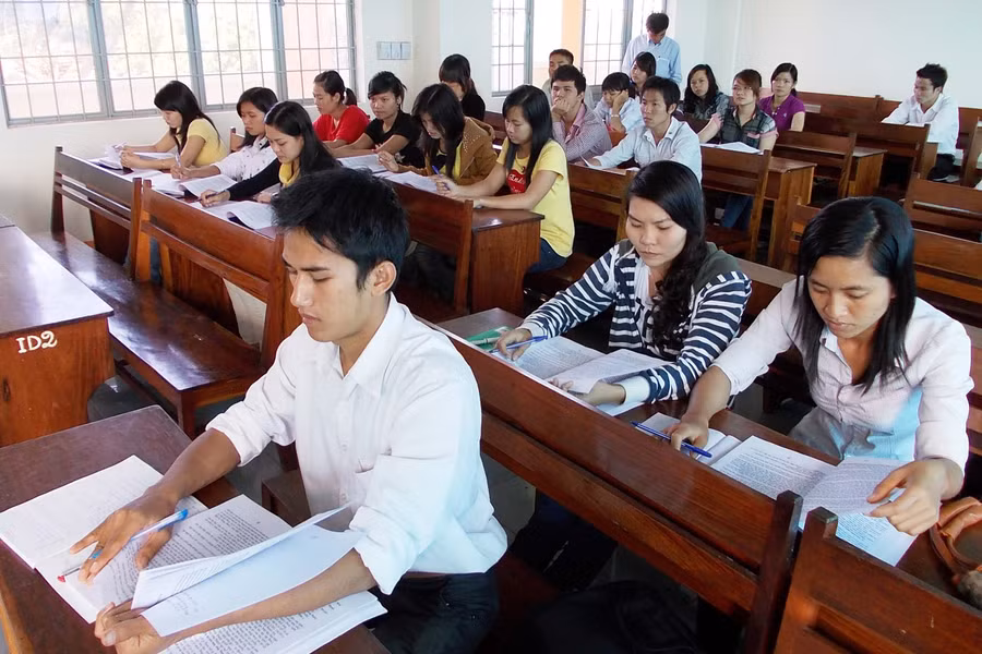 Trí thức trẻ tham gia Đề án 03 của tỉnh. Ảnh: T.N