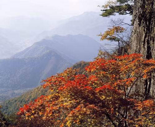 Sắc thu quyến rũ trên núi Seorak.