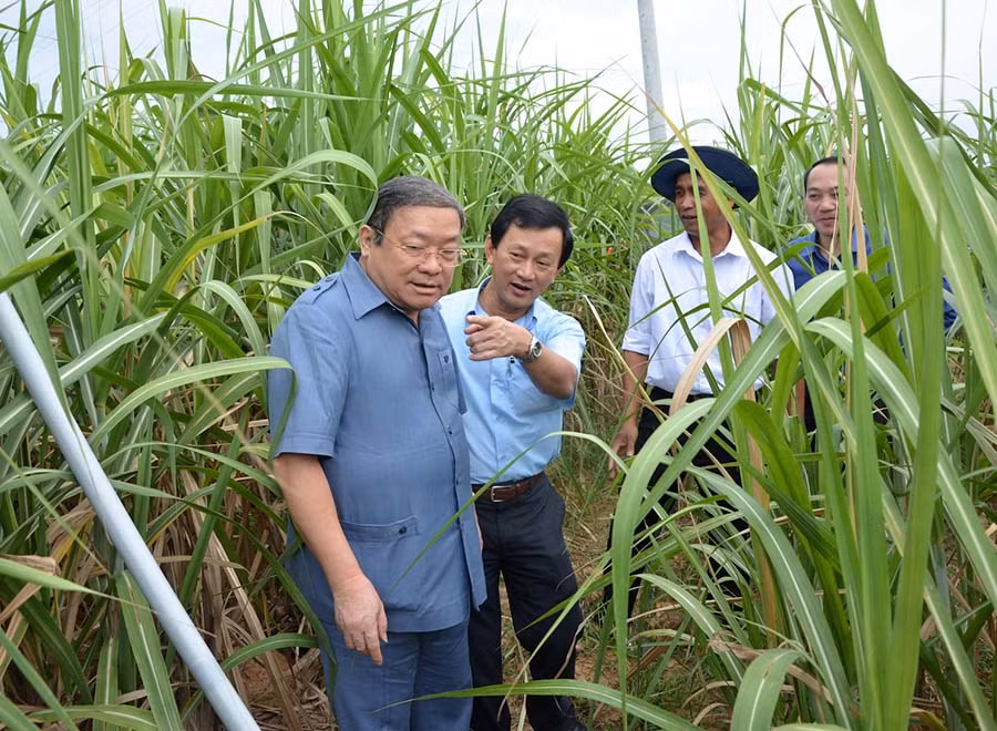 Bí thư Tỉnh ủy Dương Văn Trang và Phó trưởng Ban Dân vận Trung ương Thào Xuân Sùng thị sát cánh đồng mía mẫu lớn làng Bông. Ảnh: Đức Phương