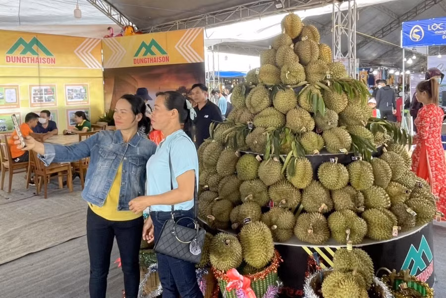 Nhiều du khách các tỉnh thành trong cả nước đã kéo về huyện Krông Pắk để tham quan, vui chơi lễ hội sầu riêng. 