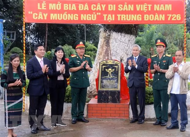 Lễ mở bia đá cây di sản Việt Nam tại Trung đoàn 726. Ảnh: TTXVN