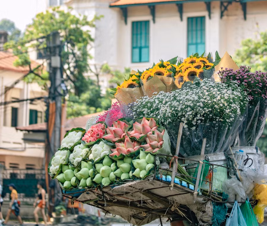  Một chiếc xe hoa sáng bừng giữa phố phường như lời hò hẹn của mùa thu. 