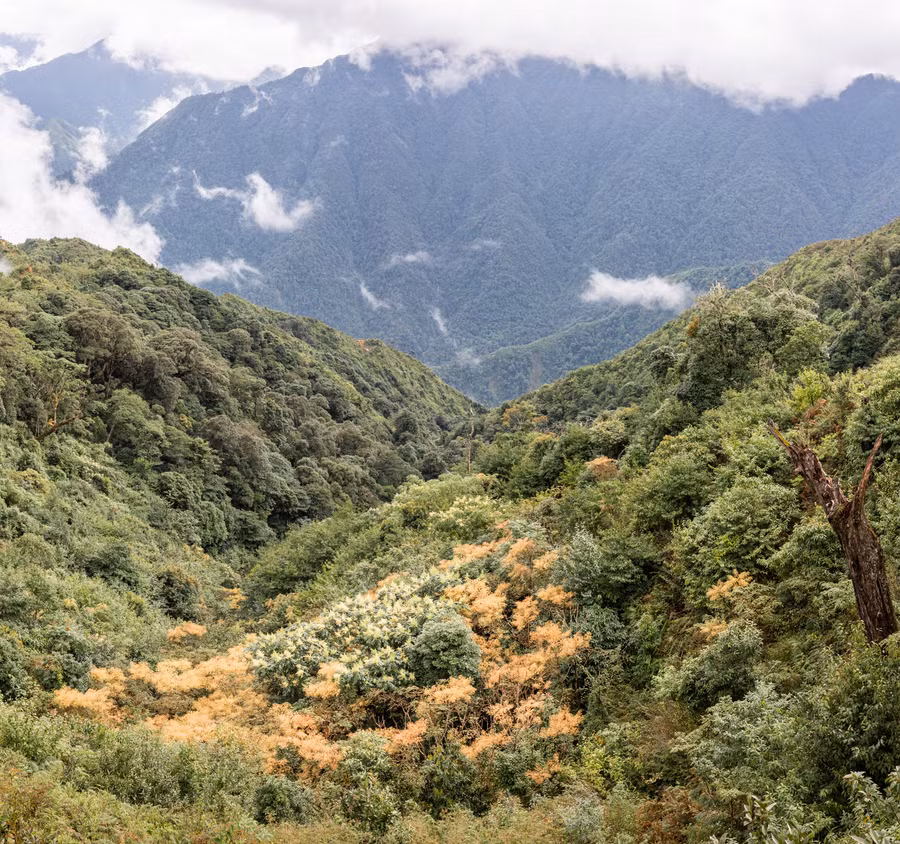 Đến 16h, cả đoàn tới vị trí lán nghỉ ở độ cao 2.400m.