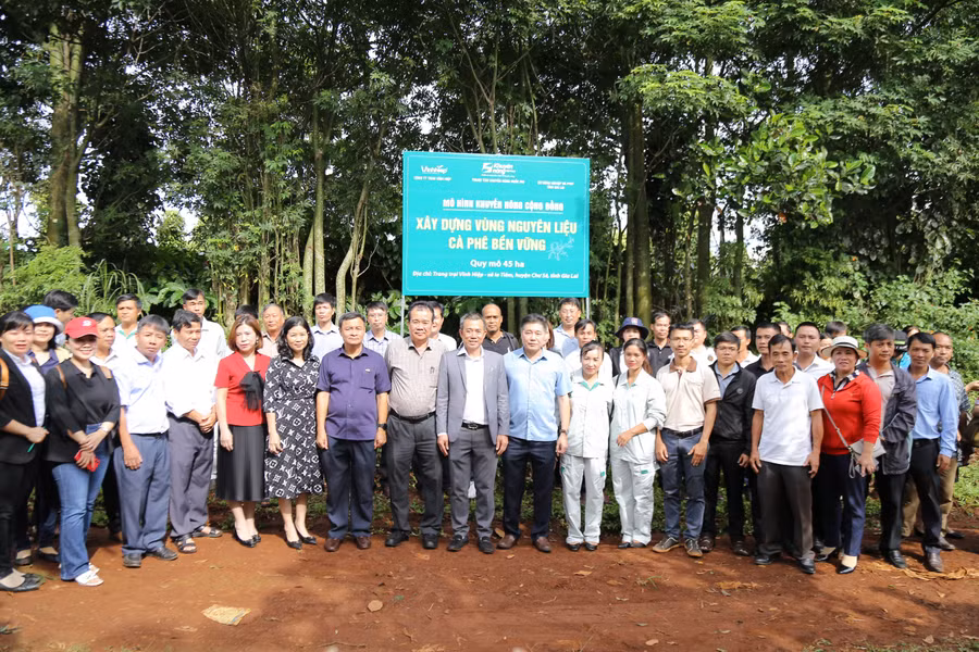 Các đại biểu tham quan thực tế tại các mô hình khuyến nông cộng đồng trên địa bàn tỉnh Gia Lai. Ảnh: Quang Thái Các đại biểu tham quan thực tế tại các mô hình khuyến nông cộng đồng trên địa bàn tỉnh Gia Lai. Ảnh: Quang Thái
