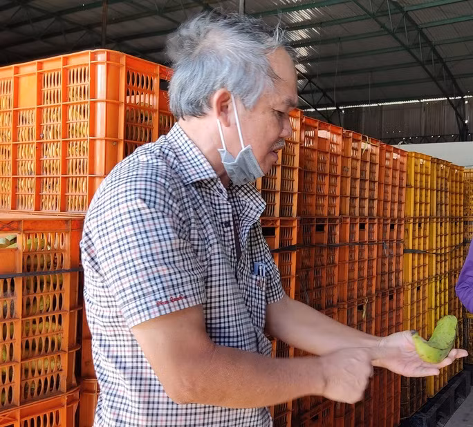 Bầu Đức giới thiệu kho chuối loại dành cho heo