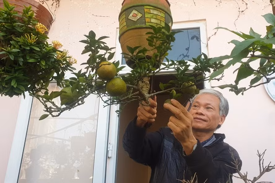 Cuối năm 2020, ông Lê Thạnh (trú TP Tam Kỳ, tỉnh Quảng Nam) được Tổ chức Kỷ lục Việt Nam trao bằng kỷ lục dành cho 