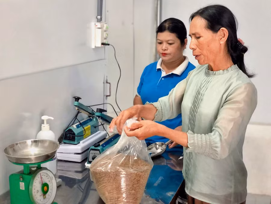  Phụ nữ Đak Pơ có nhiều mô hình khởi nghiệp sôi nổi, gắn với khai thác các lợi thế tại địa phương. Ảnh: Minh Châu