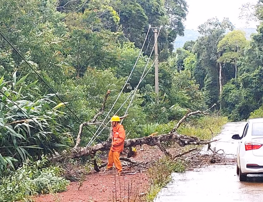 Ngành điện Gia Lai kịp thời kiểm tra để khắc phục sự cố lưới điện ở huyện Kbang. Ảnh CTV