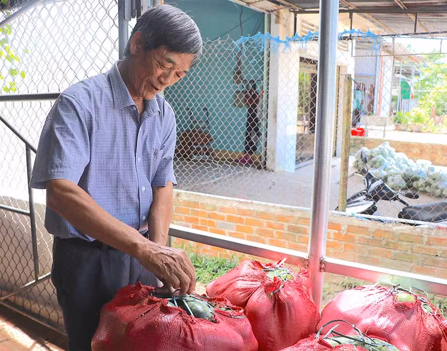 Ông Ngọ cẩn thận kiểm tra từng bao bí chuẩn bị xuất bán. Ảnh: Ngọc Minh