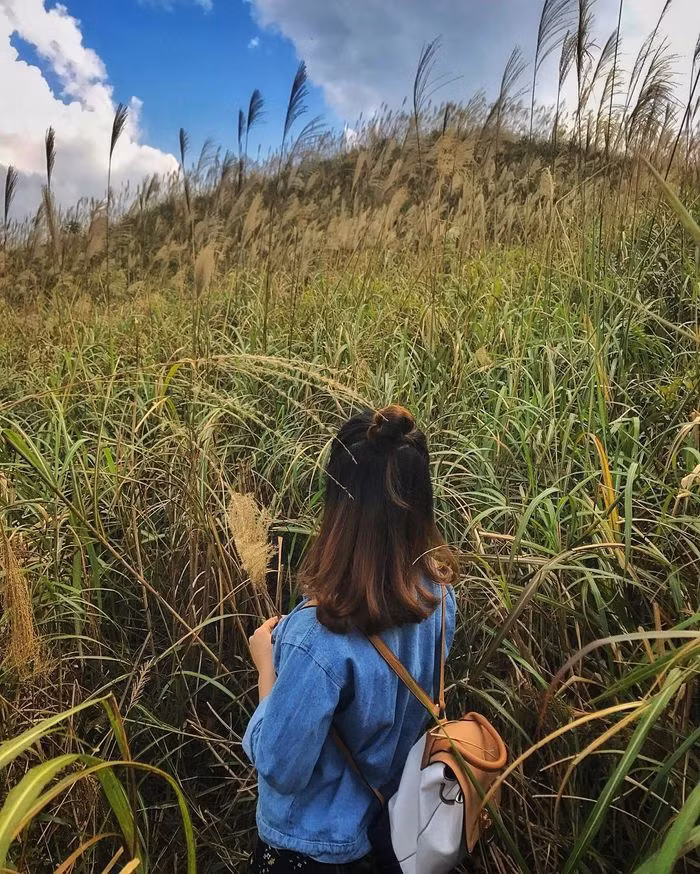 @g.nah37