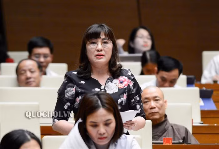  Đại biểu Võ Thị Như Hoa.