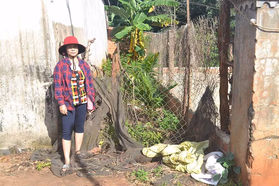  Lối đi chung bị ông Vương, bà Nhuận đóng cọc, rào chắn. Ảnh: H.C