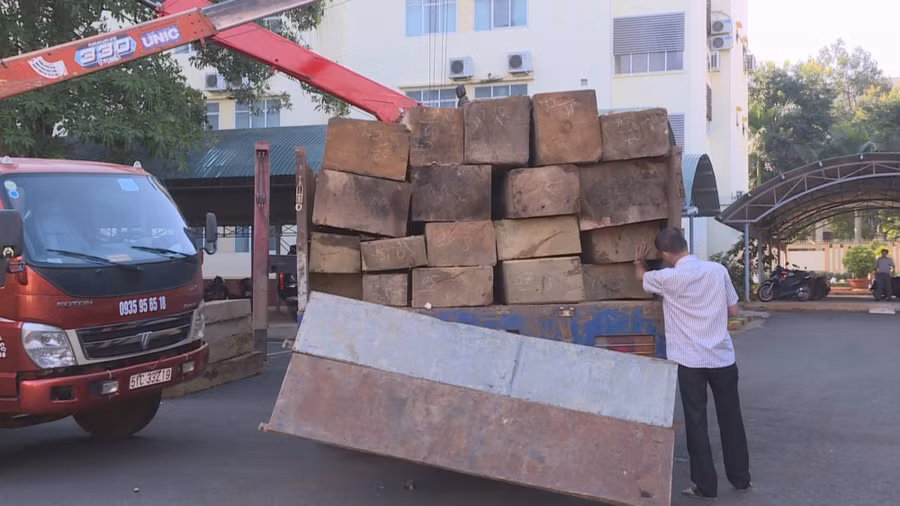 Xe gỗ bị bắt giữ tại cơ quan điều tra. 