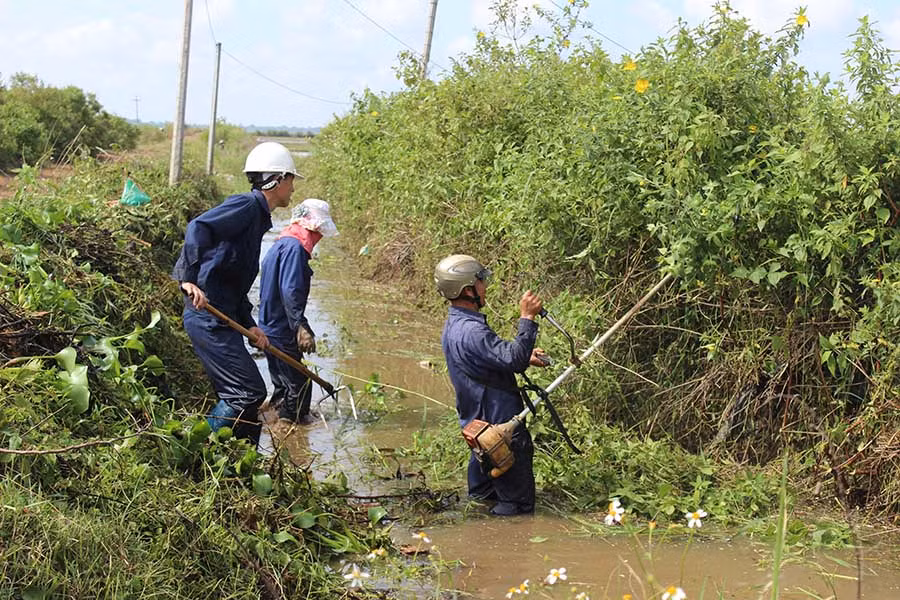  Phát dọn kênh mương xã An Phú. Ảnh: Nguyễn Diệp