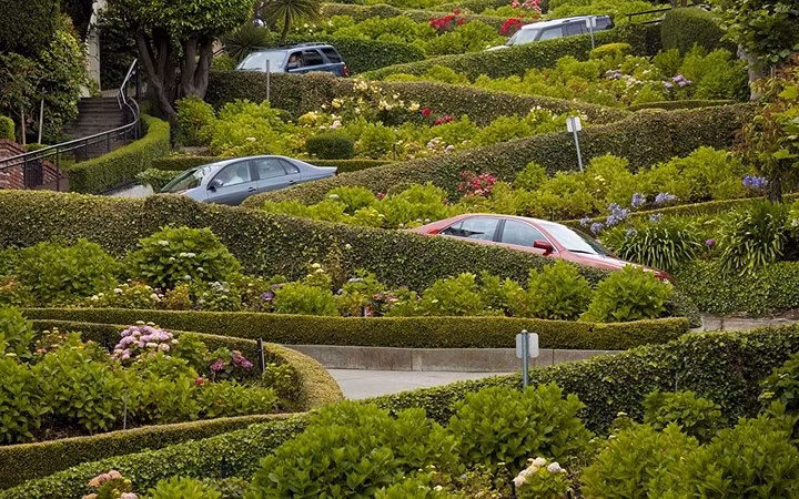 Mọi tài xế đều sẽ rất thích thú với con đường quanh co và đầy hoa này tại San Francisco, California, Mỹ