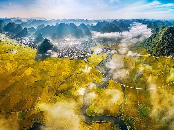  Tác phẩm 