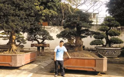 Đôi tùng la hán Việt Nam của Toàn đô la