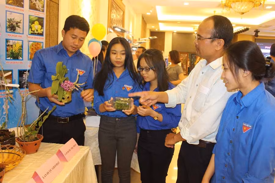  Gian hàng trưng bày của anh Phạm Thăng Bằng (ngoài cùng bên trái)-tác giả ý tưởng “Mô hình phát triển kinh tế gắn với bảo tồn và nhân rộng các giống lan rừng quý hiếm”. Ảnh: P.L